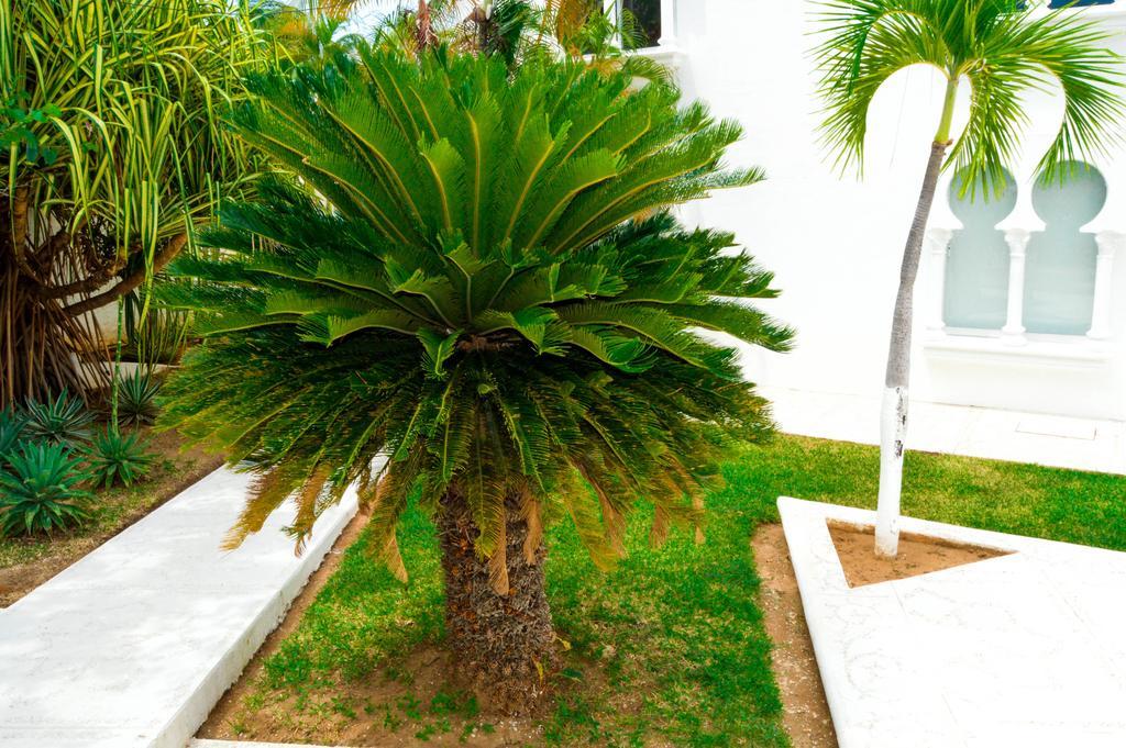 Hotel Aldea Del Bazar & Spa Puerto Escondido  Eksteriør bilde